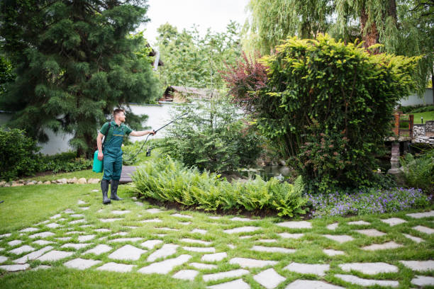 Best Best Pest Control Companies  in Mpbell, CA