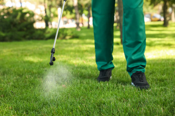Professional Pest Control in Campbell, CA