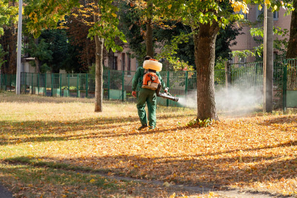 Best Rat Extermination Near Me  in Mpbell, CA